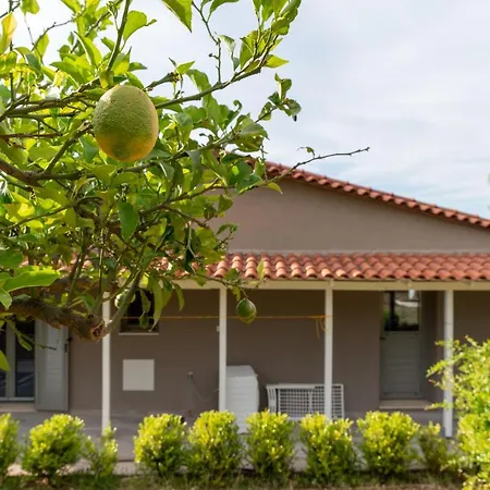 Athina Villa Angon